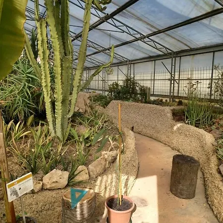 Il Bosco Sul Tevere *