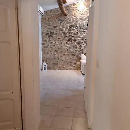 Il Bosco Sul Tevere *