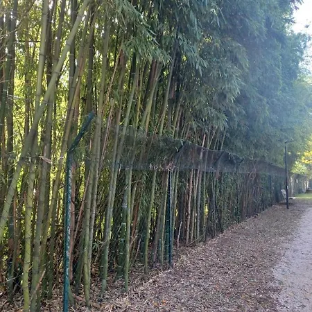 Apartamento Il Bosco Sul Tevere Perúgia