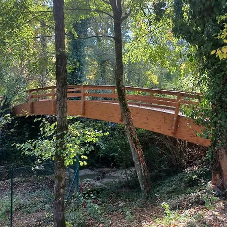 Il Bosco Sul Tevere *