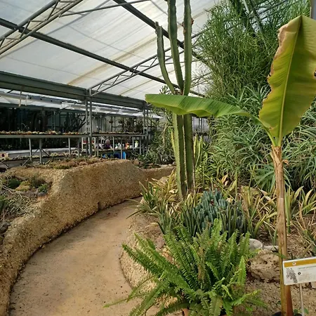 Apartamento Il Bosco Sul Tevere *