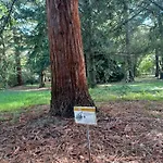 公寓 Il Bosco Sul Tevere 佩鲁贾