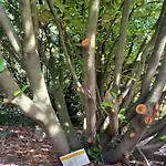 Il Bosco Sul Tevere * 佩鲁贾