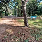 Il Bosco Sul Tevere 公寓