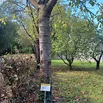 Il Bosco Sul Tevere 公寓 佩鲁贾