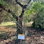 公寓 Il Bosco Sul Tevere