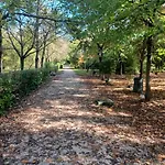 Il Bosco Sul Tevere 公寓 *