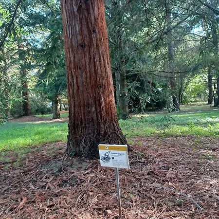 아파트 Il Bosco Sul Tevere 페루자