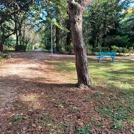 Il Bosco Sul Tevere Apartamento