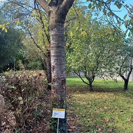 Il Bosco Sul Tevere Apartamento Perúgia