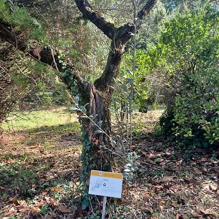 Apartamento Il Bosco Sul Tevere