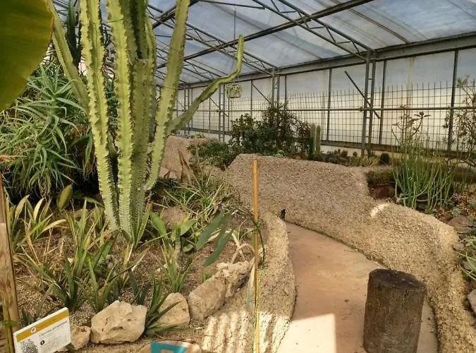 Il Bosco Sul Tevere *