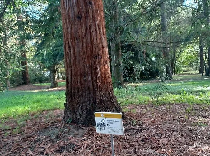Apartamento Il Bosco Sul Tevere Perúgia