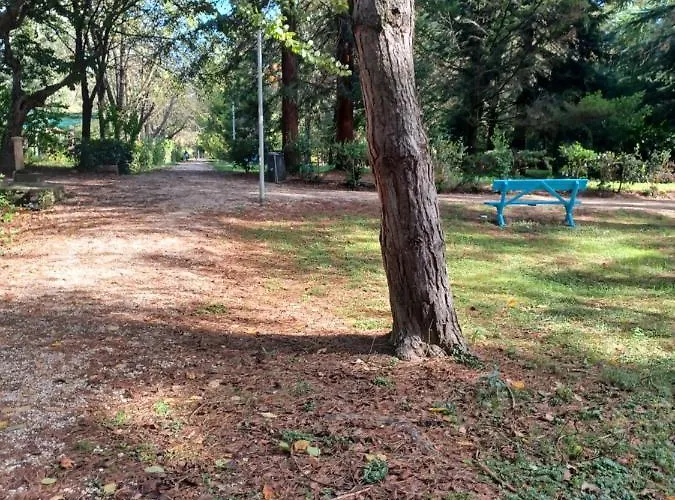 Il Bosco Sul Tevere Apartamento