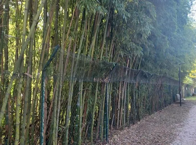 Apartamento Il Bosco Sul Tevere Perúgia